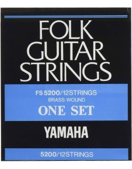 Guitar Strings FS5200