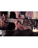 YAMAHA F310 Acoustic guitar CSB/TBS