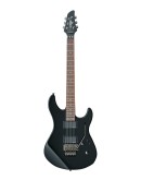 YAMAHA RGX420DZII