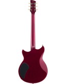 Yamaha RSE20 