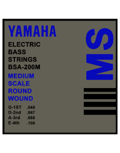 Bass Guitar BSA 200M