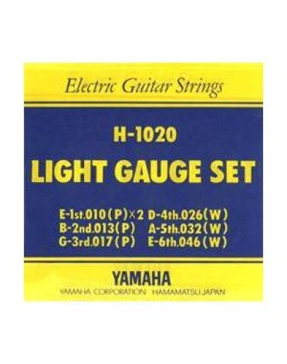 Electric Guitar Strings H1020
