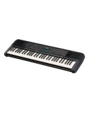 YAMAHA PSR-E273 Portable Keyboard